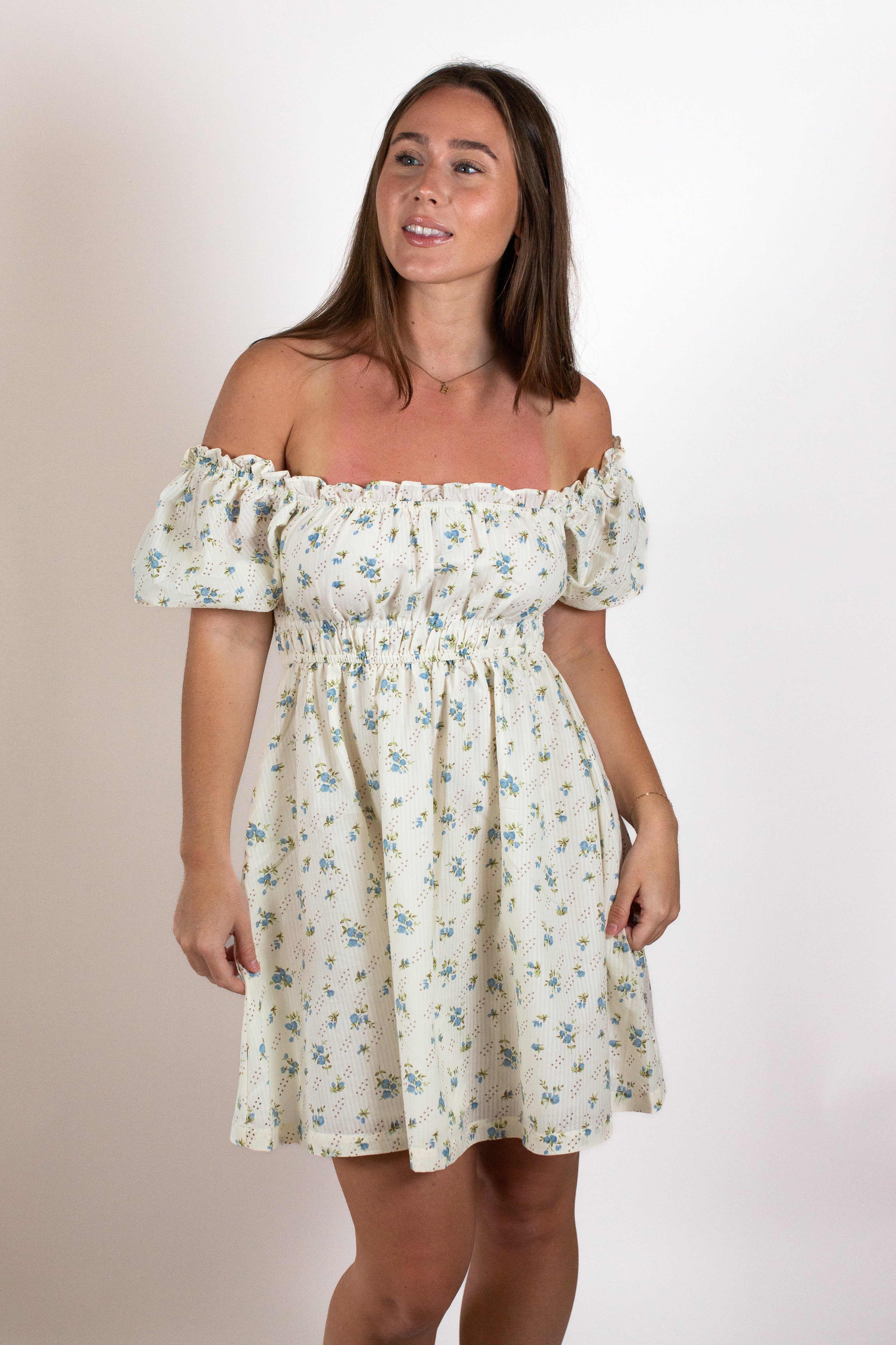 The Rose Garden Babydoll Dress